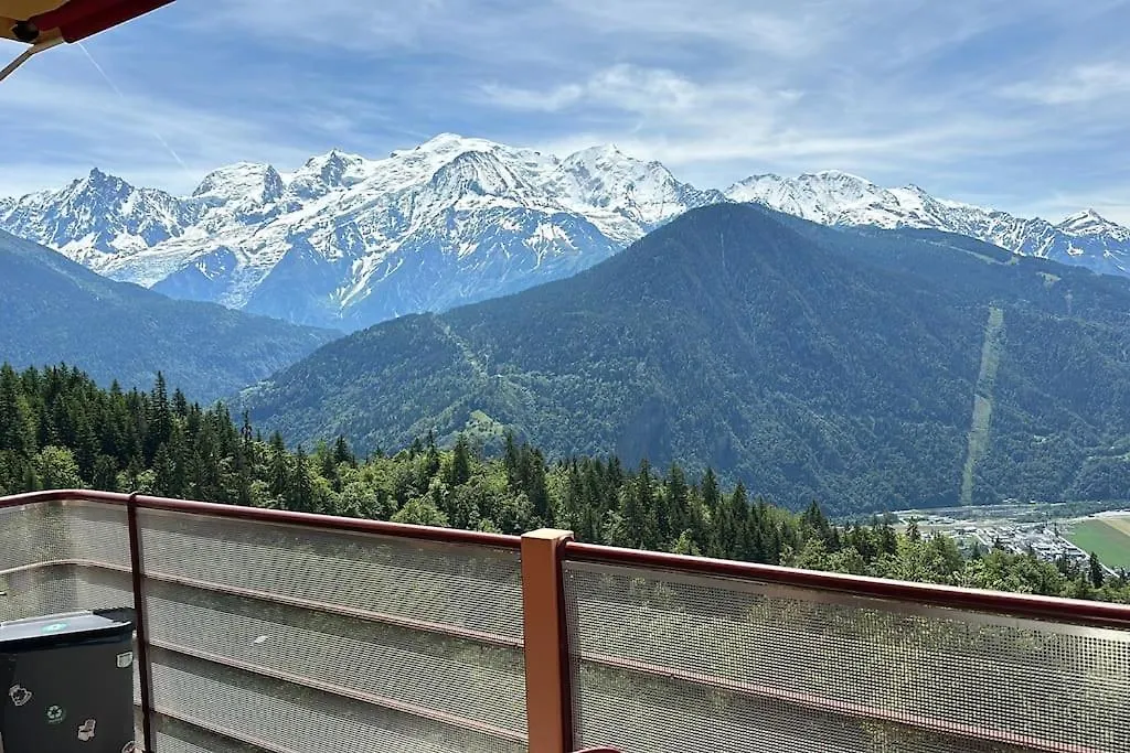 Mont Blanc View On A 40M2 Terrace Apartment Passy