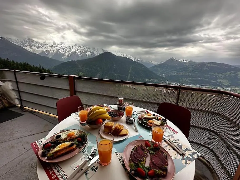 Mont Blanc View On A 40M2 Terrace Apartment Passy  Passy (Haute-Savoie)